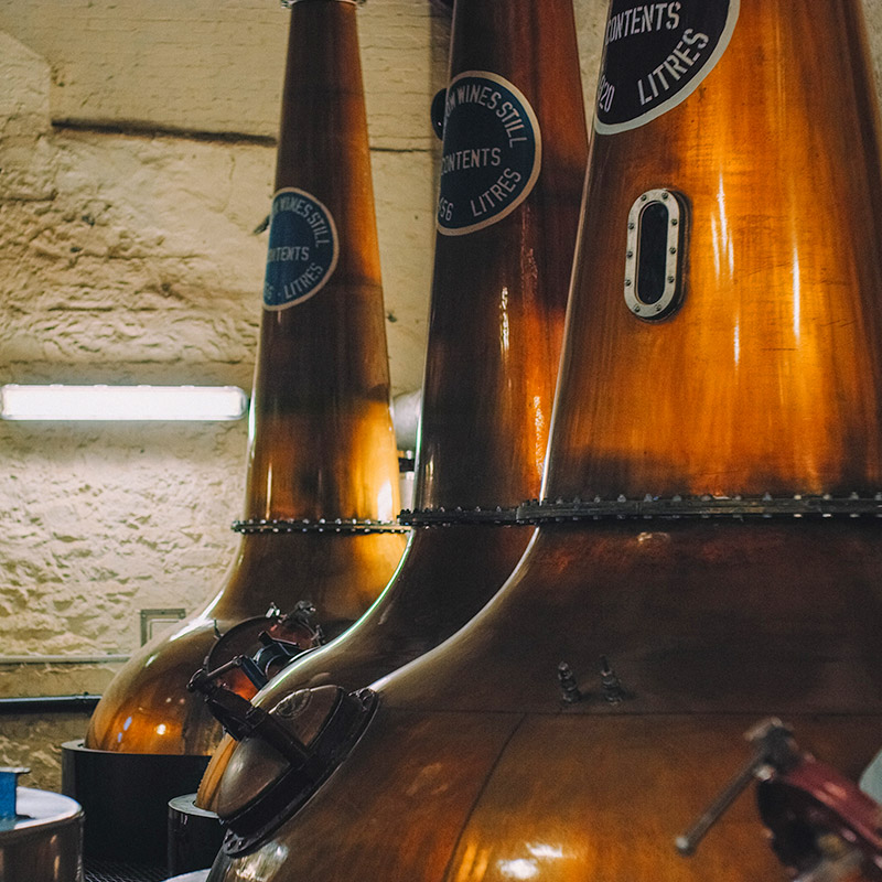 Bushmill's copper pot stills for distilling Irish whiskey